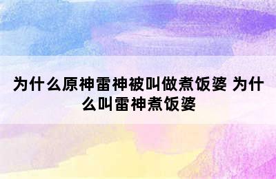 为什么原神雷神被叫做煮饭婆 为什么叫雷神煮饭婆